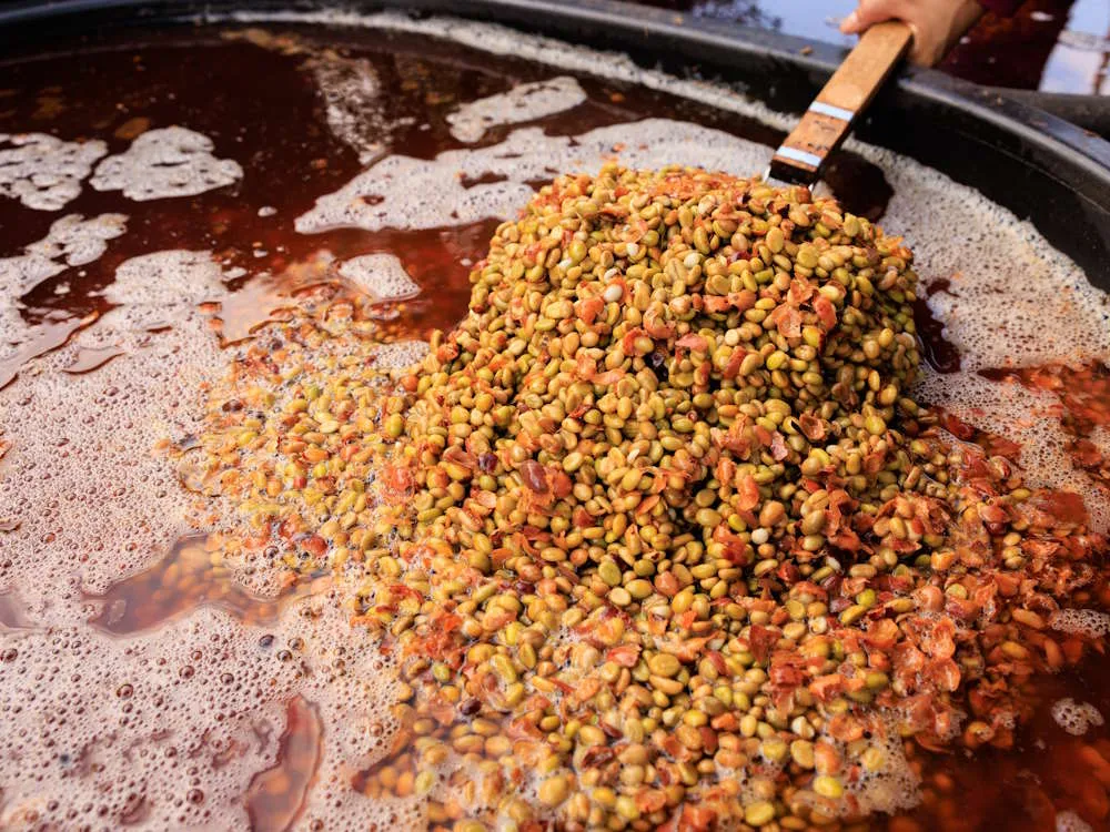 هم تخمیری قهوه و رزبری