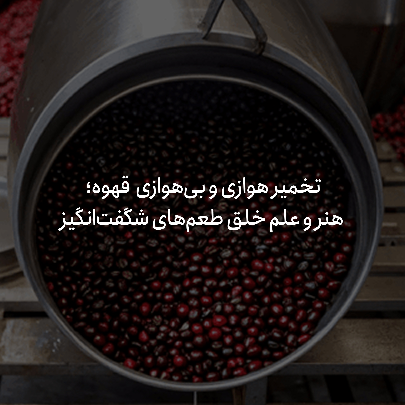 تخمیر هوازی و بی‌هوازی در قهوه؛ هنر و علم خلق طعم‌های شگفت‌انگیز