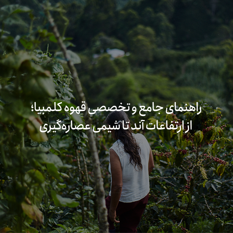 راهنمای جامع و تخصصی قهوه کلمبیا؛ از ارتفاعات آند تا شیمی عصاره‌گیری
