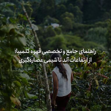 راهنمای جامع و تخصصی قهوه کلمبیا؛ از ارتفاعات آند تا شیمی عصاره‌گیری